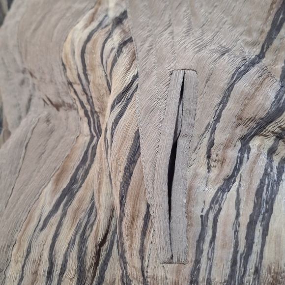 Kiss of the Wolf Fringe Dress - Picture 9 of 10